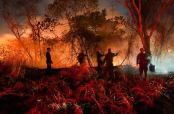 Tolima en llamas: el fuego, el Estado y la disputa por el territorio